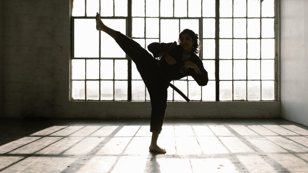 Willkommen auf unserer neuen Budo Taijutsu-Website!