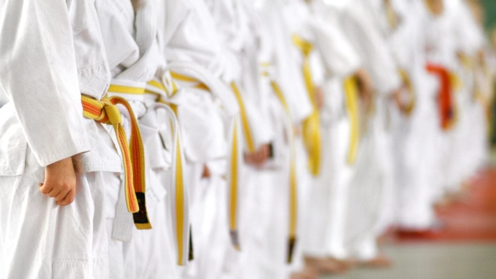 Herzlich Willkommen auf der neuen Karate-Website des VfL Nürnberg!